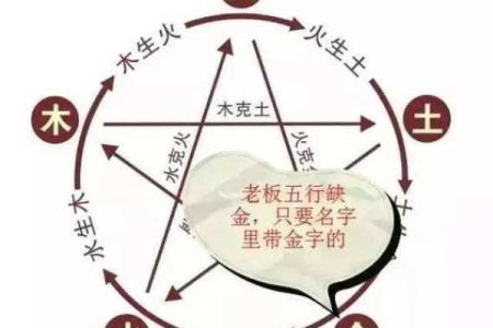 男土命与女金命能生出什么样的宝宝？让我们一起探索！