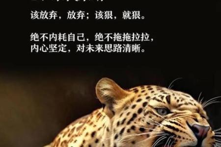 逆天改命：凌云诺如何改变命运与人生轨迹