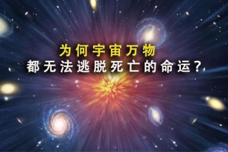 探秘命理中的“贱命”——命运为何如此？