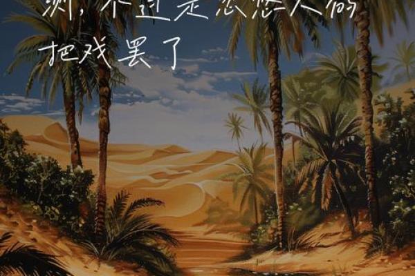 看命与算命的区别：探寻命运的真谛与迷雾