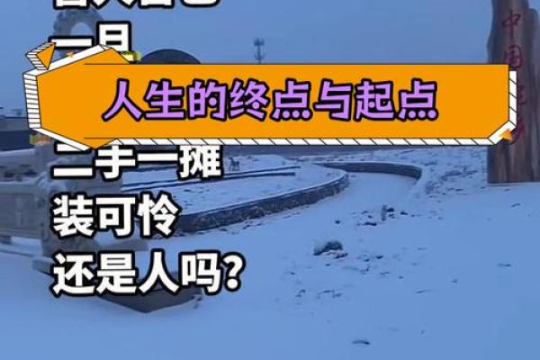 留他命九尘埃：人生的选择与价值的定位
