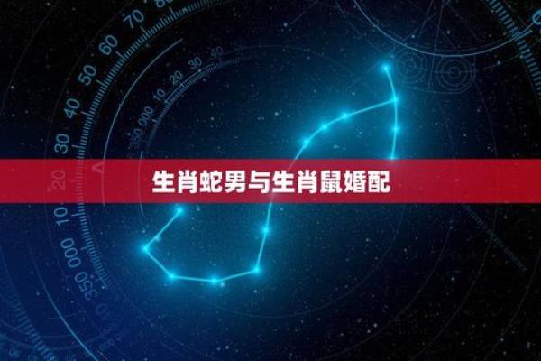 六月十五出生的属蛇男：命运与性格的深度剖析