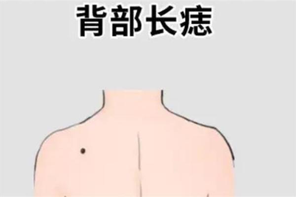 解析龙出生在五点至六点的命运特征与人生道路