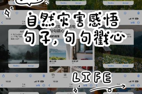 探寻“堪堪废命”的深意：生存的渺小与坚韧的心态