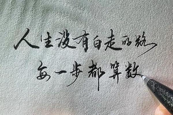 没有财星的命局解析：如何找到人生的另一种光芒