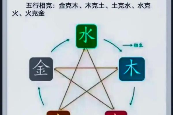 龙眼木命与相生相克：解析命理搭配的重要性
