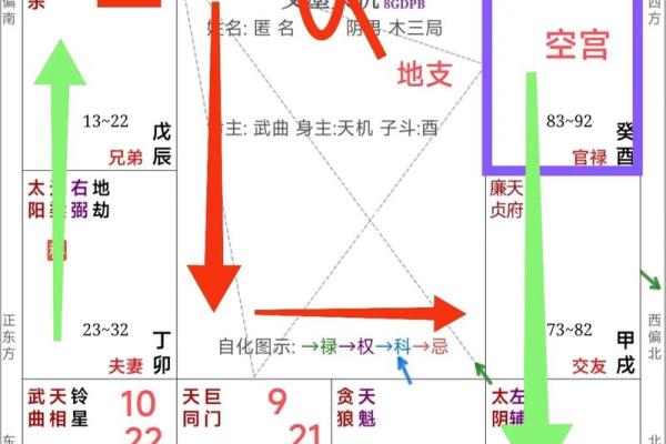 如何通过命盘解析自己的命运，揭示生命的秘密与可能性