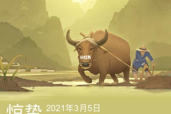 龙年春天出生的人：命运的独特旅程与生活启示