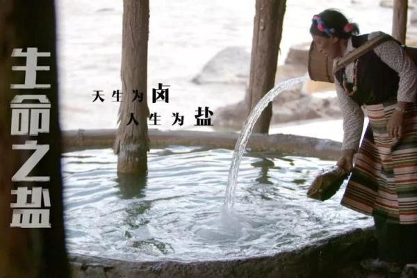 掌握命运：克父母的女孩命运解析与心理成长之路