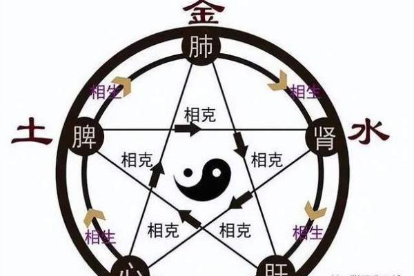 命理缺木的人生影响及补救方法探讨