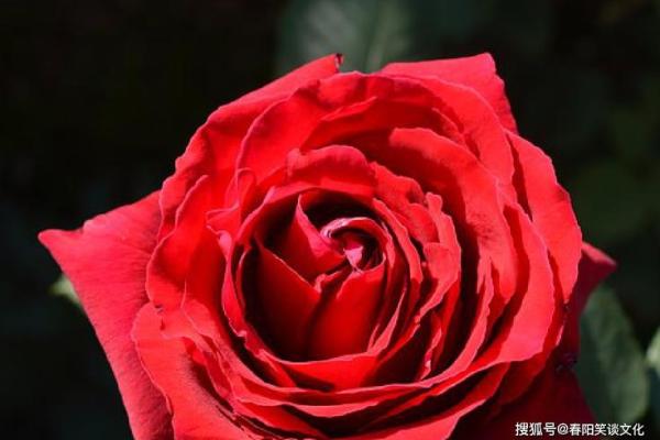 命里大海水命的神秘内涵与人生启示