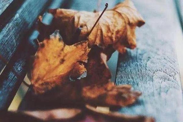 命里大海水命的神秘内涵与人生启示