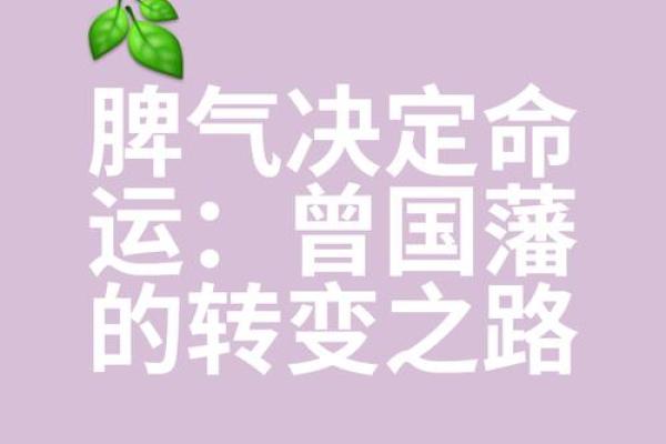 没那个命呢？解读命运与努力之间的微妙关系