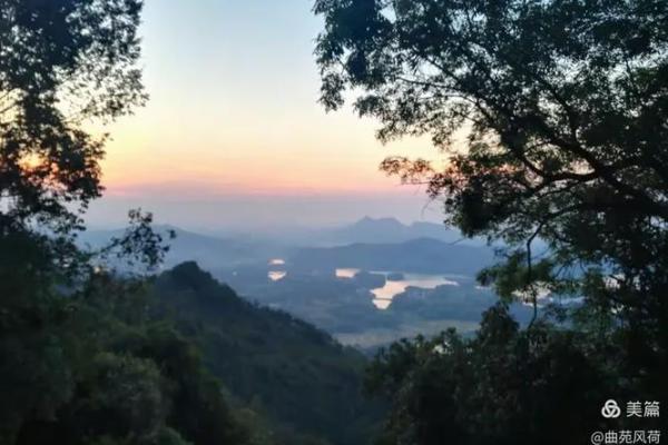 六月初一出生的牛年女生命运解析：流年与性格的深度剖析