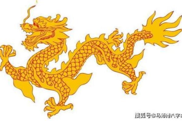 龙张星守命，掌控人生的神秘力量解析
