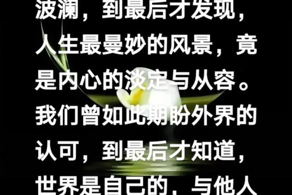 掌控命运的真谛：自我选择与积极应对人生挑战