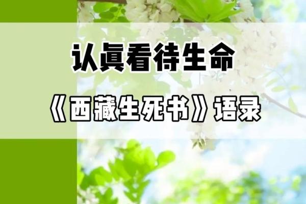 探索“命不久矣”的哲学：生命的脆弱与坚韧
