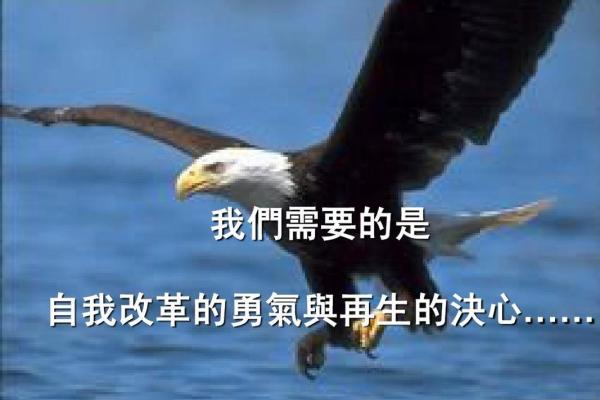六月初一出生女性的命格解析与人生启示