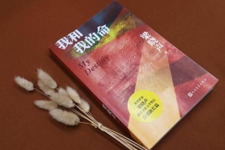 农村女人:命运的走向与幸福的追求之道