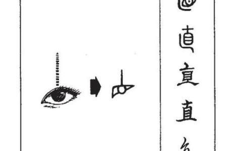探索“归”字的多重含义与文化内涵:从古至今的解读与感悟