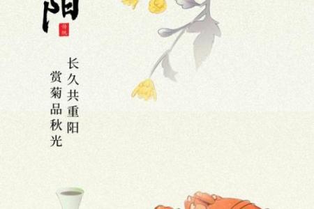九月初九：菊花香满庭的故乡，探索你的命理之旅