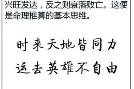 命理探寻：命运之源的奥秘与启示