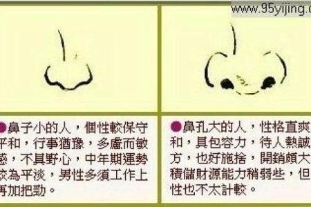六月十五出生的属蛇男:命运与性格的深度剖析