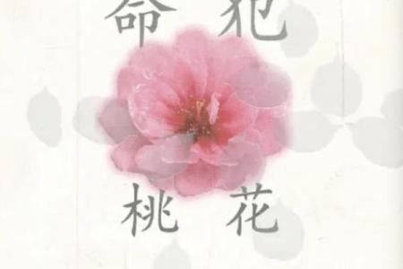 揭开木猴男命的神秘面纱：性格特征与命理分析
