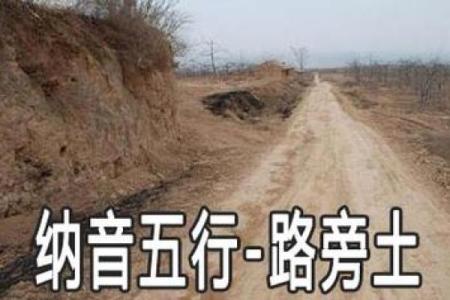 路旁土命的秘密:与金木水火土的交融之道