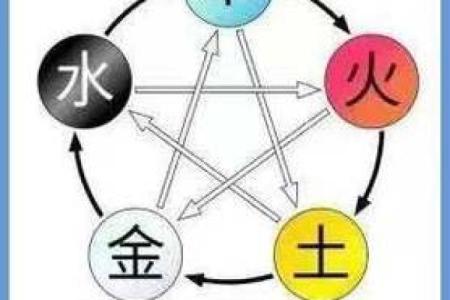 龙眼木命与相生相克:解析命理搭配的重要性