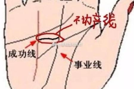 女命太阳在卯宫的命理解析与人生启示