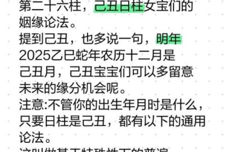 日柱日元解析:揭示女人命运的秘密与自我提升之道