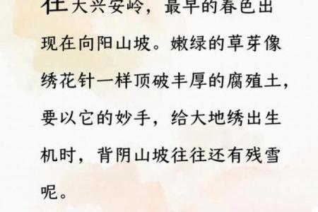 龙年春天出生的人:命运的独特旅程与生活启示