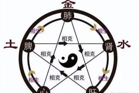 命理缺木的人生影响及补救方法探讨