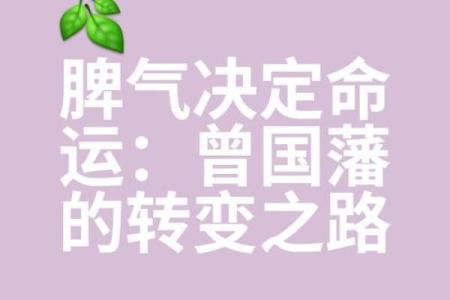 没那个命呢？解读命运与努力之间的微妙关系
