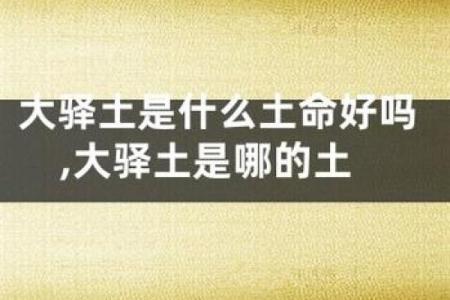 命理土命者适合养什么 养宠物的智慧与选择
