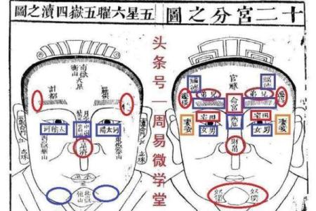 女性命理中的财官印:解密她们的命运密码
