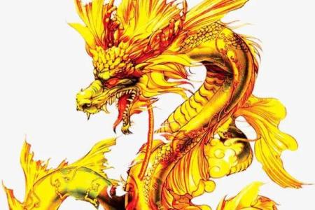 龙张星守命,掌控人生的神秘力量解析