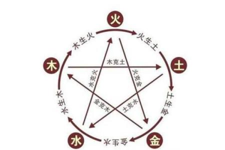 木命与哪些命更适合婚姻:解析五行中的合适配对