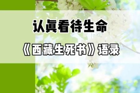 探索“命不久矣”的哲学:生命的脆弱与坚韧