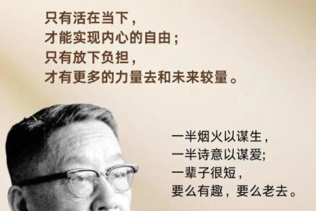 老公眼中的我：命运的解读与生活的哲学