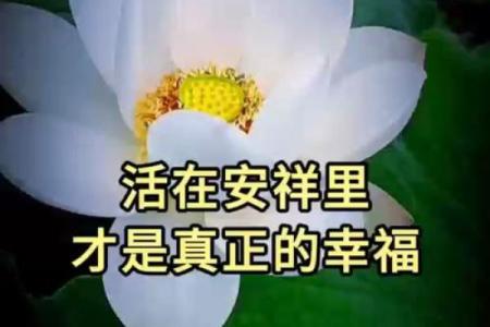 根据命格匹配揭示最佳命运：探索你的生命潜能与幸福真谛