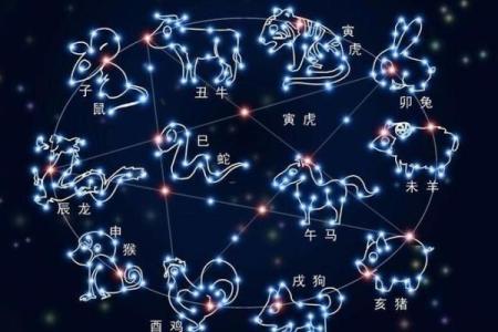 女属鸡金命的人适合从事哪些行业？探寻职业发展之路！