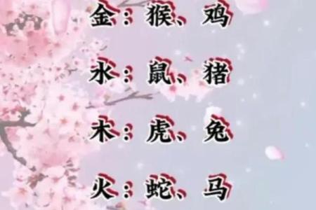 路旁土命者如何选择适合的手机号码?
