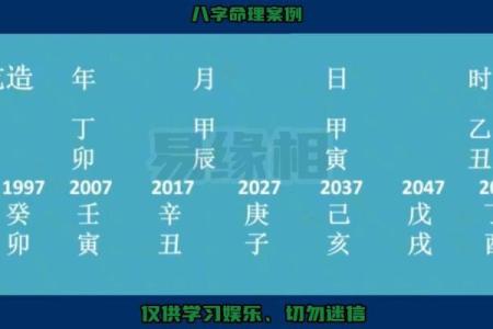 木命与火命适合的颜色与风水搭配指南