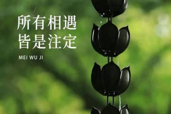 命里缺个你：探讨缘分与生命中的相遇