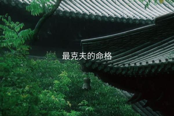 命里克夫：解密命格的奥秘与影响