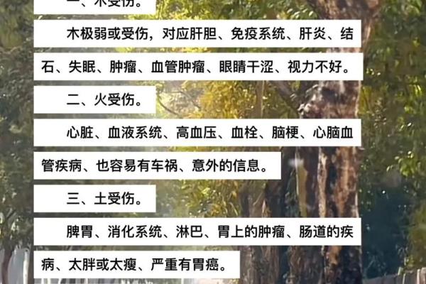 你我他五行命理的奥秘与人生启示！