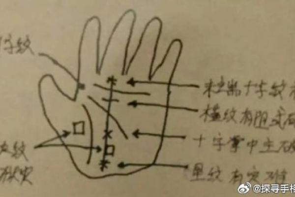 男生手相解析：揭示你命运的秘密与人生方向