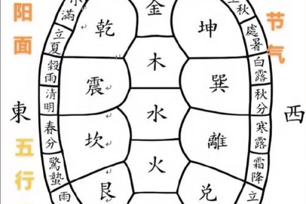 探秘金木命：如何理解五行之中的命理奥义